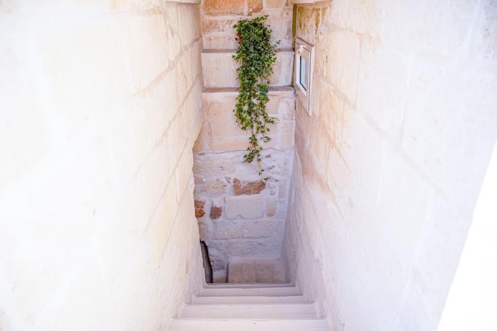 Borgo Antico-Centro Storico Casa Ventosa Apartment ออเรีย ภายนอก รูปภาพ